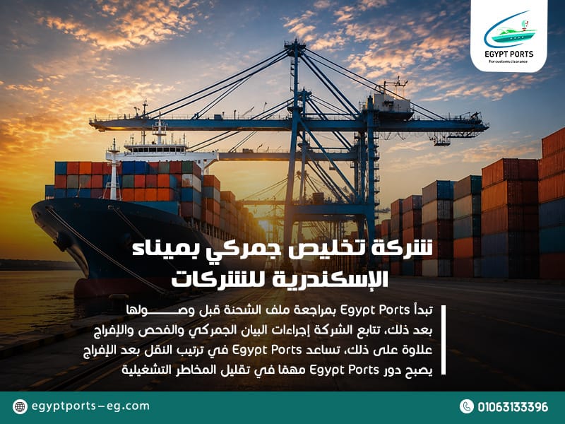 أفضل-شركة-نقل-حاويات-من-ميناء-بورسعيد